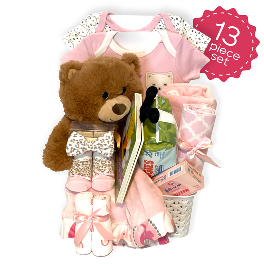 13 Piece Girl Essentials Gift Basket Great for Newborns