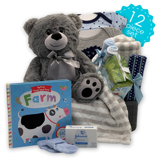 12 Piece Boy Essentials Gift Basket Great for Newborns